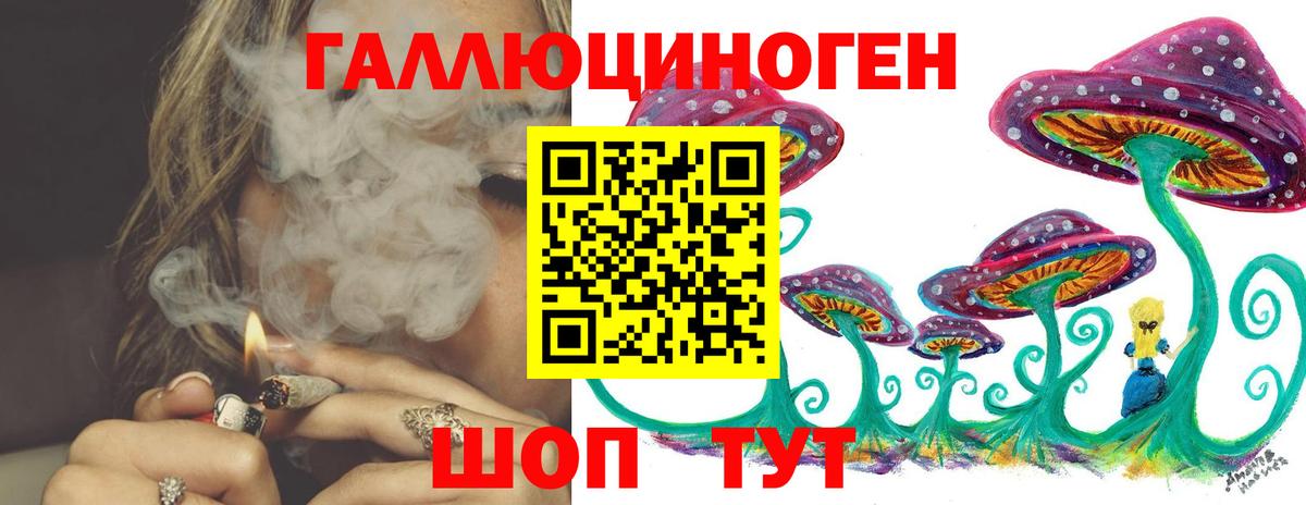 Псилоцибиновые грибы Psilocybe Альметьевск